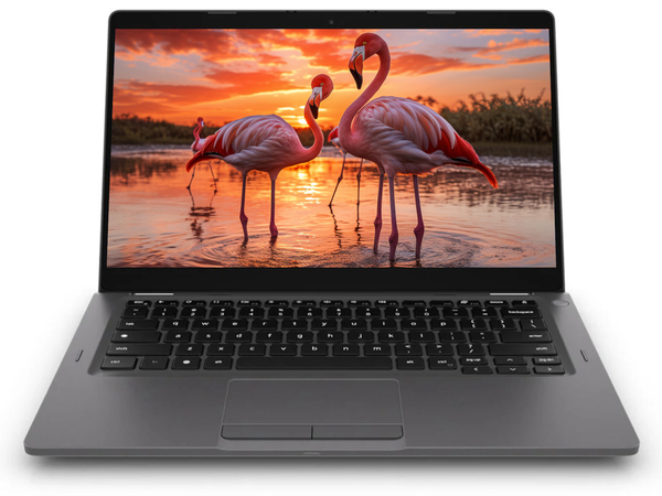Laptop Dell Latitude 5300 2w1 i5-8365U / 16GB DDR4 / BRAK DYSKU / 13,3" Full HD dotyk / W11P / Klasa A