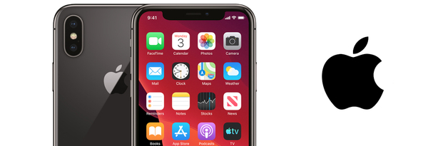 Apple iPhone X Space Gray 256GB Smartfon - Stan Dobry (Brak Face ID)