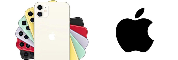 Apple iPhone 11 White 64 GB Smartfon - Klasa A +(Komunikat o Baterii + Brak Face ID)