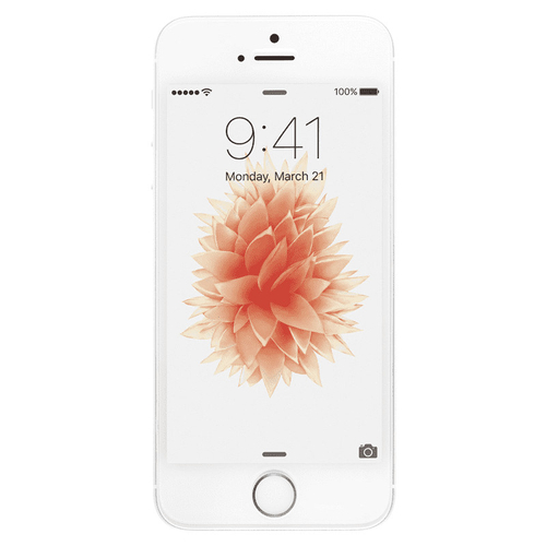 Apple iPhone SE Silver / White 64GB A1723 Smartfon - Stan Bardzo Dobry